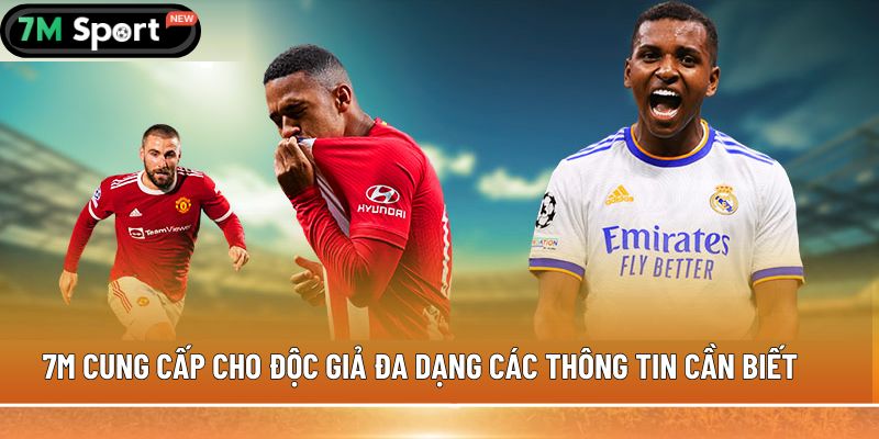 7M cung cấp cho độc giả đa dạng các thông tin cần biết